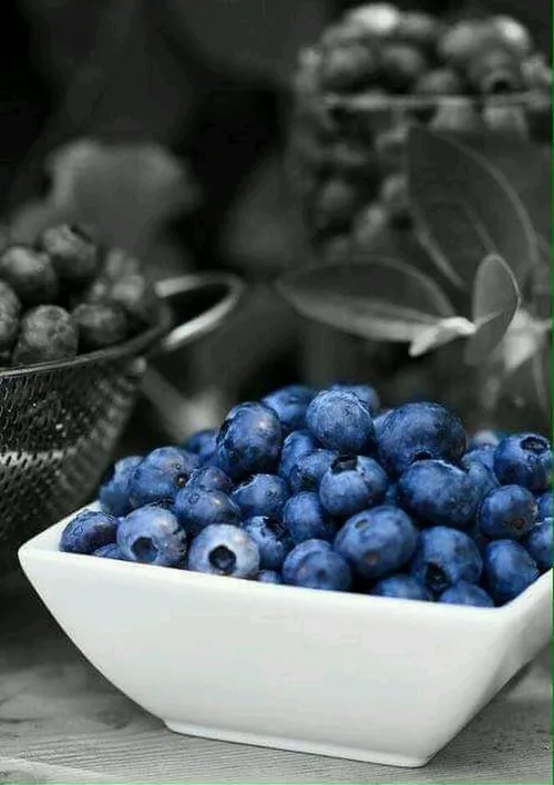 Fruit