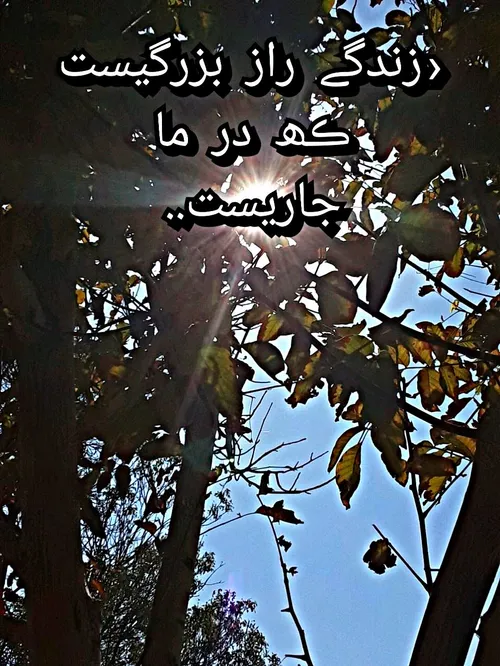 هنر عکاسی