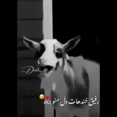 پری خندهاتو عشقه،،🤣🤣🤣