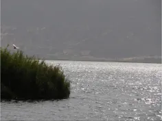 مریوان -دریاچه مریوان (به نان دریاچه زریوار نیز مشهور است