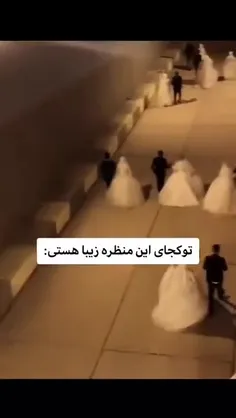 چقد منطقی🦋🤌🏻🙃