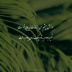 مرسی که فالو میکنید 💕