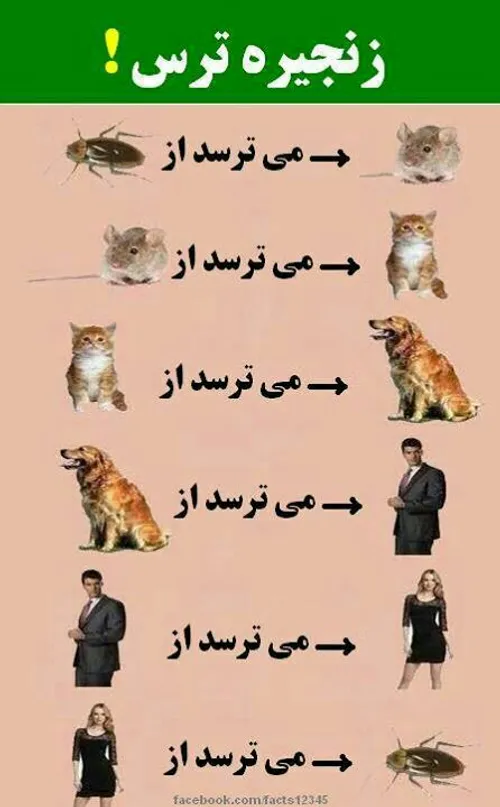 زنجیره ترس....😂 ✌ ️