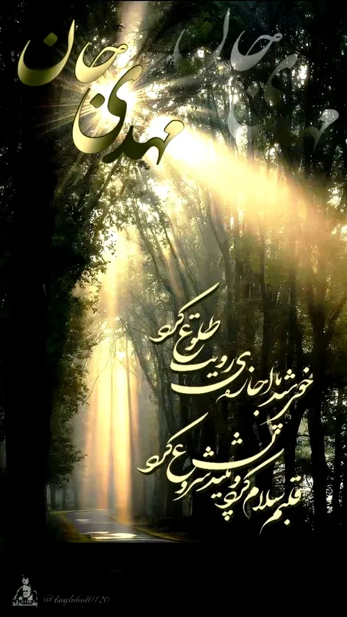 یا مهدی عج