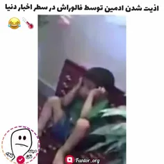 کمتر اذیت کنید بخدا ک گناه دارم😂نگا بچرو🤣🤦🏻‍♂️