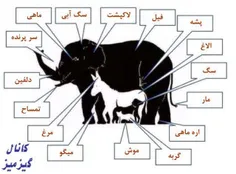 اینم از جواب ولی خواستم بگم پشه که اونجا نوشته جزو حیوانا