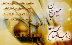 در بحر حسین# کاش ماهی باشیم / پاکیزه و طاهر از تباهی باشی