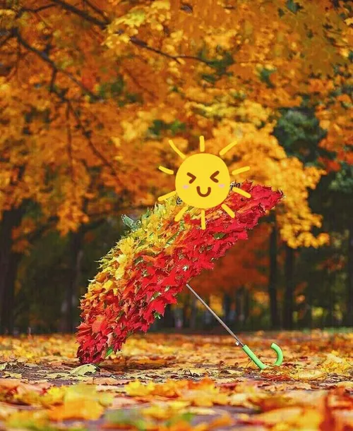 🍁پاییز