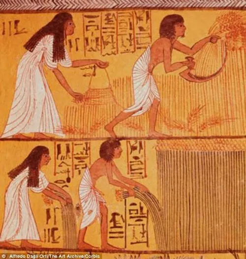 در مصر باستان تست جنسیت وجود داشت، به اینصورت که زنان بار