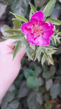 #عندما يطغى #الحزن عليك، تأكد بأن #الله هو من #سيُنقذك ول