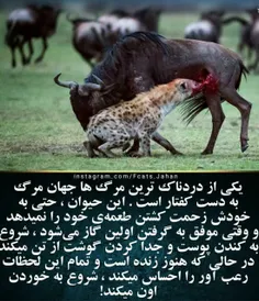 وی وی چ خطرناک