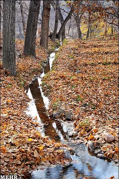 در کنار این آب روان میتوان زیبایی رو با برگریزان پاییز حس