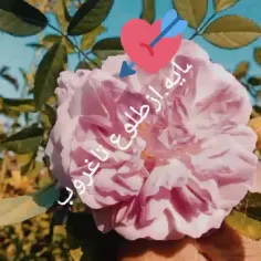 طلوع تاغروب/۲۹/