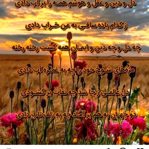  shirekhoda47 50110159 - عکس ویسگون