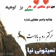 #دی