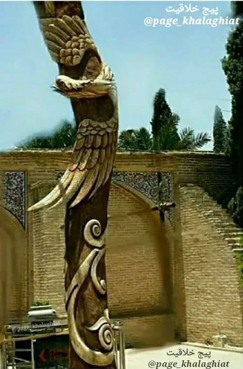درخت خشکی که در باغ جهان نمای شیراز بود و قرار بود قطع شو