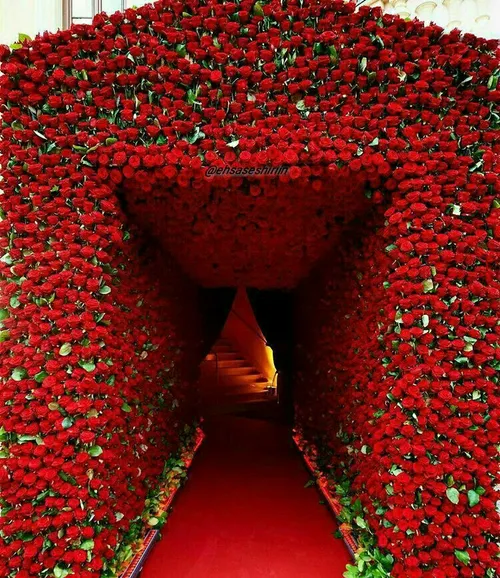 تونلی از گل پیشکش نگاه مهربونتون در آخرین روز آبان ماه ❤ 