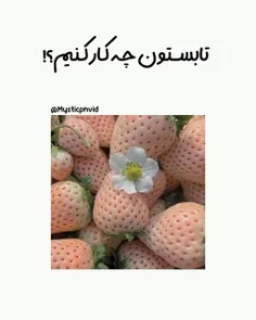 خلاصه یه گوهی بخورید