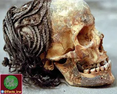 جمجمه ای یافت شده در یک قبر مصر  در زمان آخناتون در 1300 