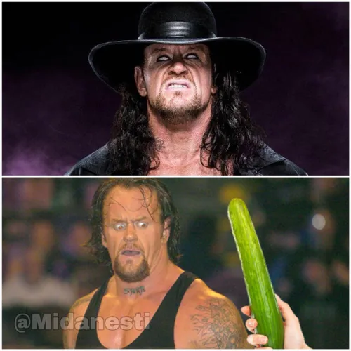 آندرتیکر (Undertaker) که بیش از 27 سال یکی از خفن ترین و 