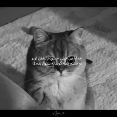 خدایا خودت میدونی کیو میگم😅:)