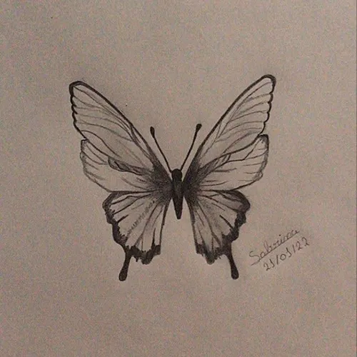 ایده طراحی پروانه