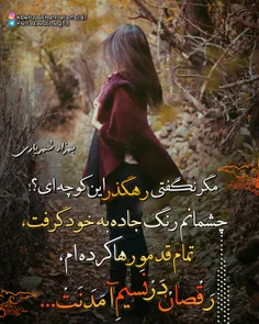 #بهزادشهریاری🌹 