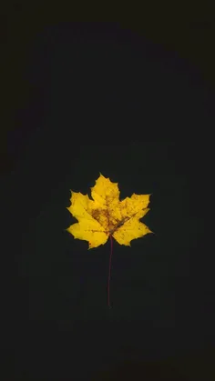 #fall      