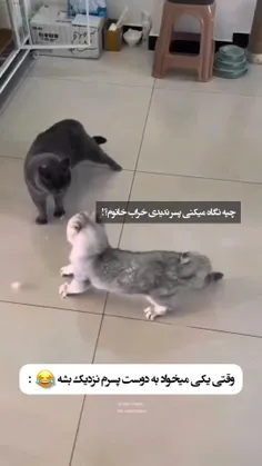 واییی مامان🤣🤣🤣🤣