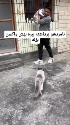 سلام به همگی 💙