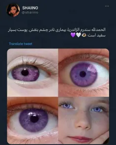 مطلب