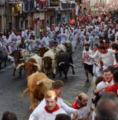 گاوهای خشمگین فستیوال سن فرمین در پامپلونای اسپانیا به خی
