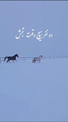 دو نفر هیچ وقت نبخش 