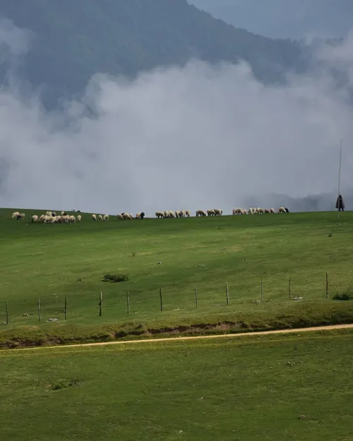 زندگی در ارتفاعات تالش ، بر فراز ابرها زیباست . 🌬🌹