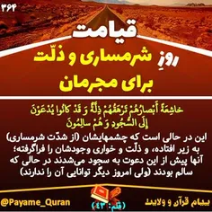 #قران #قرآن #قرآن_کریم #قران_کریم #القرآن #القران_الکریم 