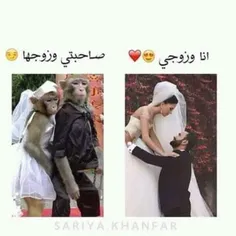 خخخخ