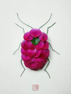 #هنرنمایی با گل‌های #دور_ریختنی یک #هنرمند ژاپنی در مونتر