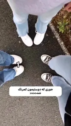 جوری که اکیپمون پوکید