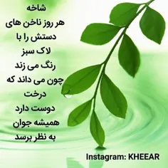 kheear_sabz 71004085