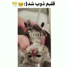 tiktok_best 46987273