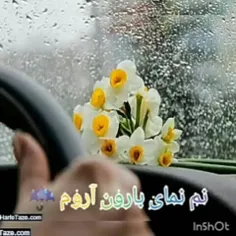 #مهدی_صاحب_زمان