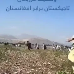 افغان ها قصد ورود به کشور تاجیکستان را داشتند که مرزبانان