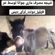 وقتی خر گل میکشه 😂😍🤣😹