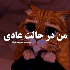 خلاصه‌من‌درحال‌انفجاربه‌سرمیبرم😹✋