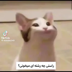 راستی چه رشته ای میخونی؟