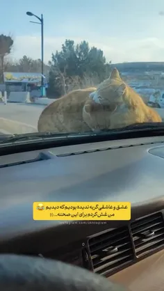 استغفرالله 😂 فقط خنده ی حاجی