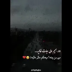 حالم عالیه 🙂