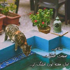 صبح آمد