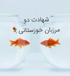 🌹 شهادت ۲ مرزبان خوزستانی در دشت آزادگان