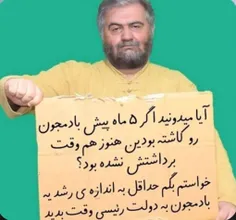 این بنده خداهم پیر شد ولی بادمجونا درنیومد